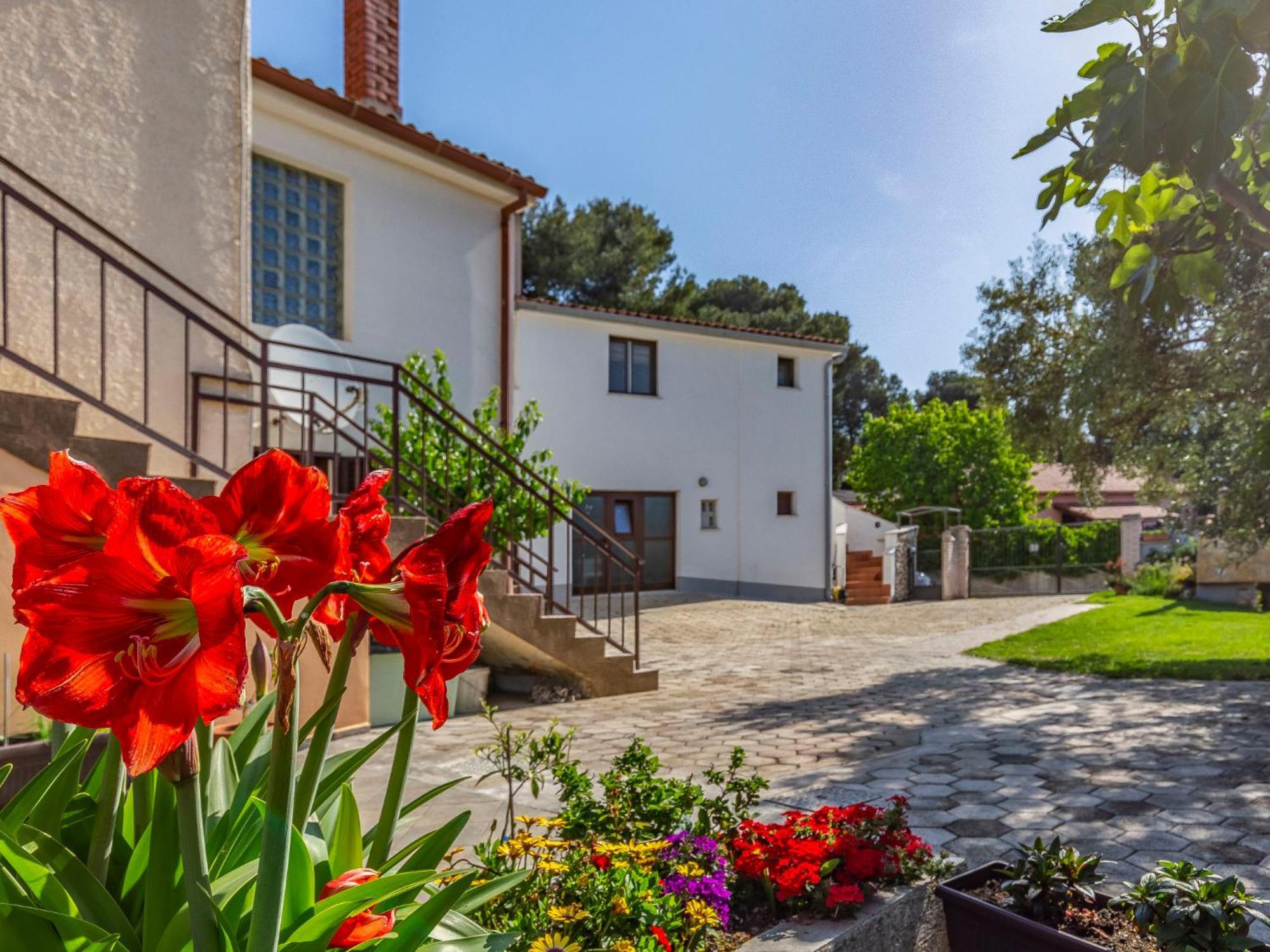Apartment Vladimir - Pul237 By Interhome Banjole Dış mekan fotoğraf